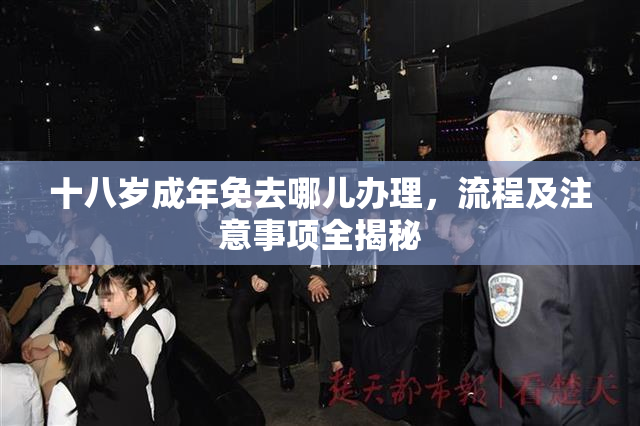 十八岁成年免去哪儿办理，流程及注意事项全揭秘