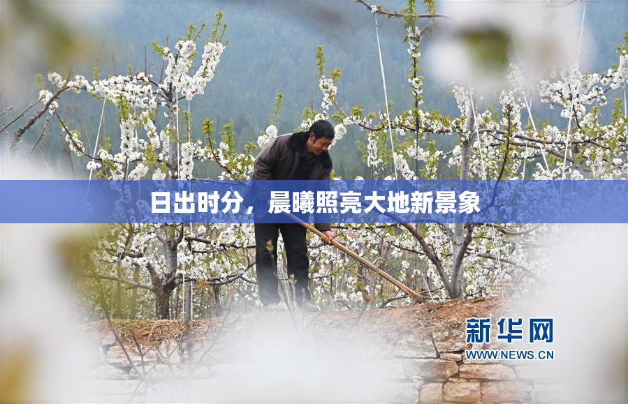 日出时分，晨曦照亮大地新景象