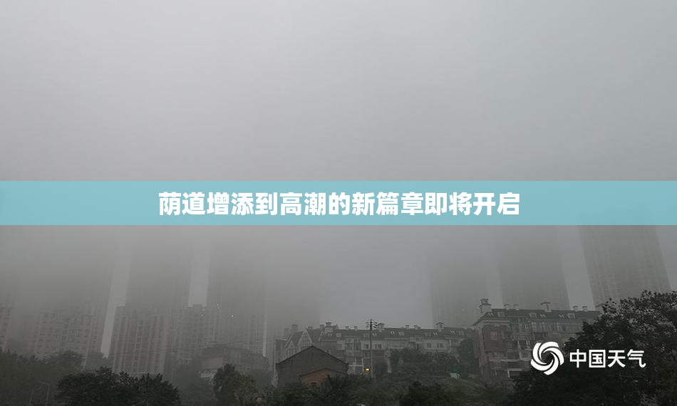 荫道增添到高潮的新篇章即将开启