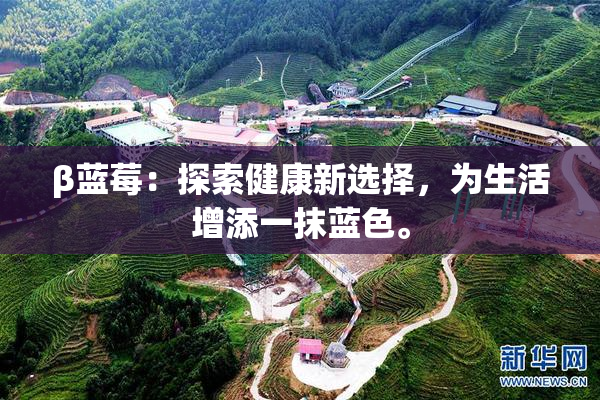 β蓝莓：探索健康新选择，为生活增添一抹蓝色。