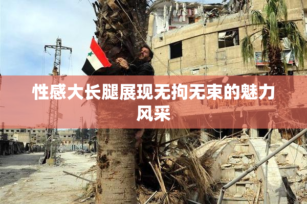 性感大长腿展现无拘无束的魅力风采