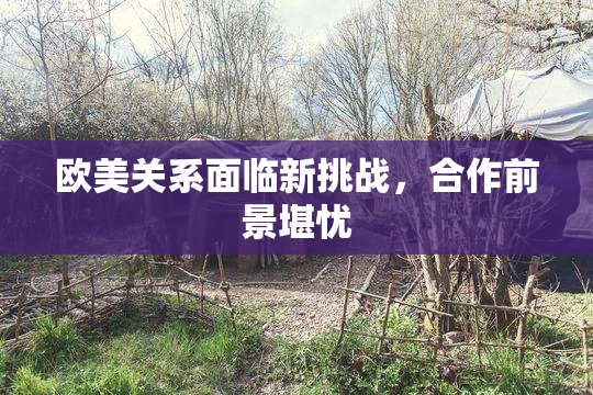 欧美关系面临新挑战，合作前景堪忧