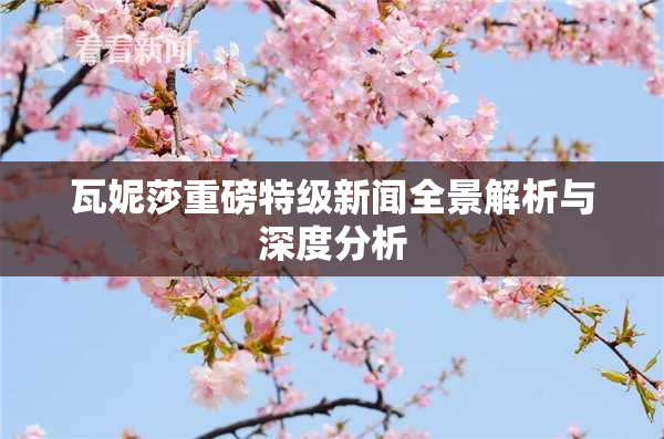瓦妮莎重磅特级新闻全景解析与深度分析