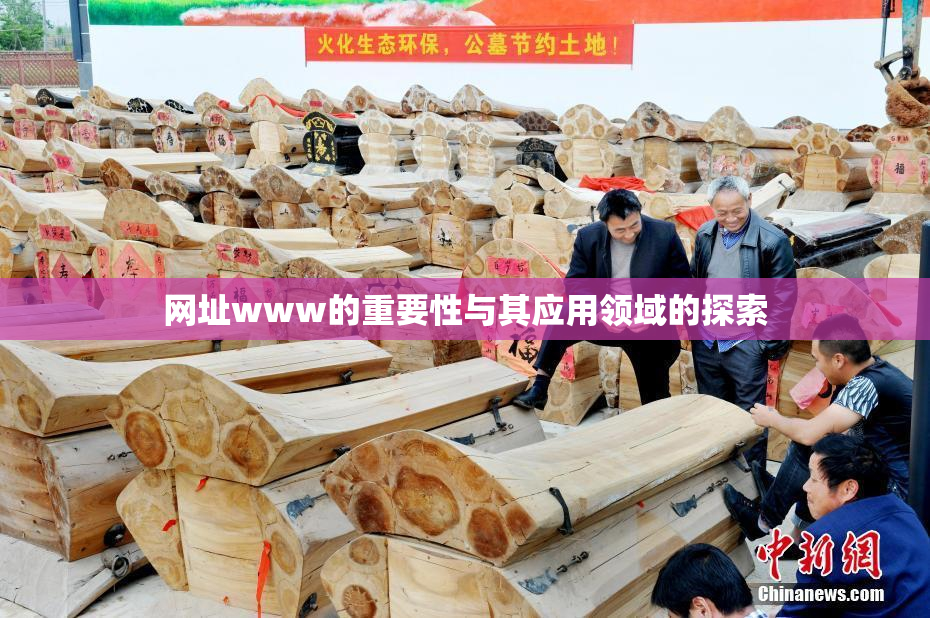 网址www的重要性与其应用领域的探索