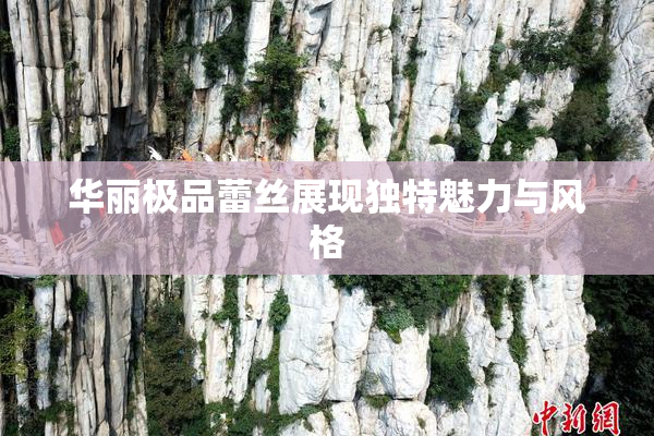 华丽极品蕾丝展现独特魅力与风格