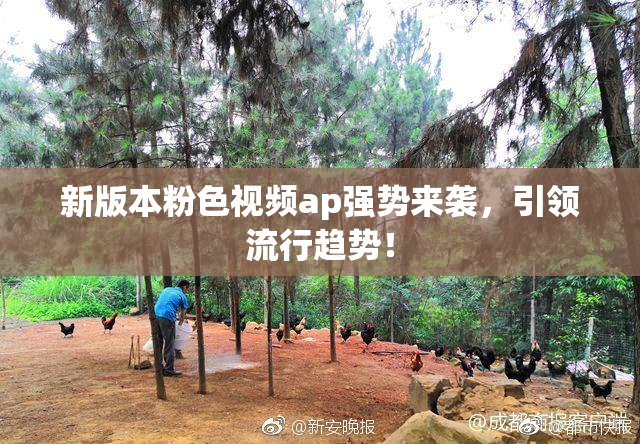 新版本粉色视频ap强势来袭，引领流行趋势！