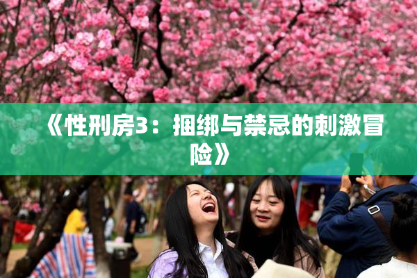 《性刑房3：捆绑与禁忌的刺激冒险》