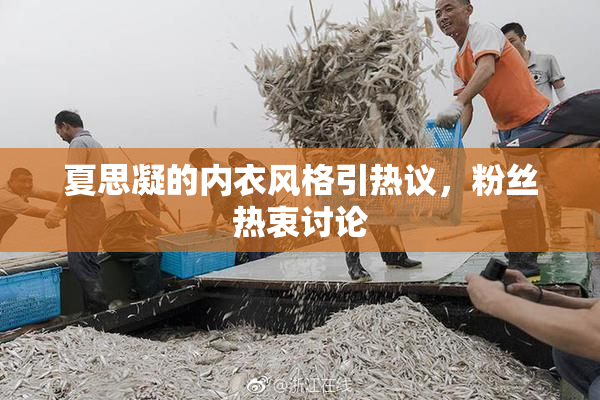 夏思凝的内衣风格引热议，粉丝热衷讨论