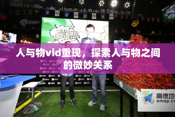 人与物vid重现，探索人与物之间的微妙关系
