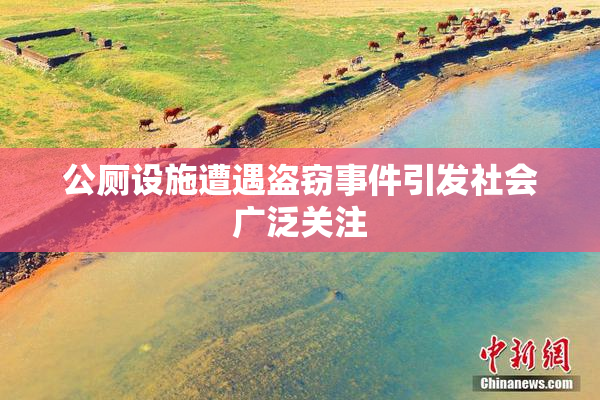公厕设施遭遇盗窃事件引发社会广泛关注