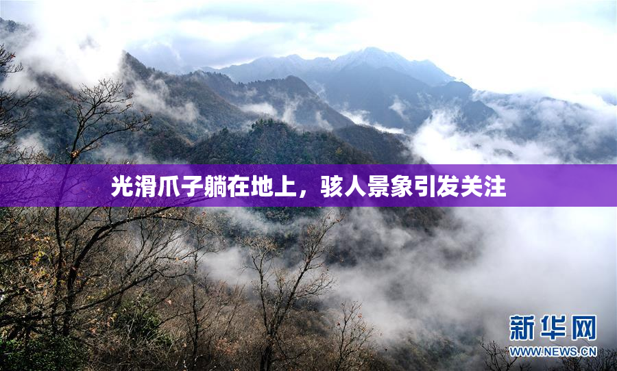 光滑爪子躺在地上，骇人景象引发关注