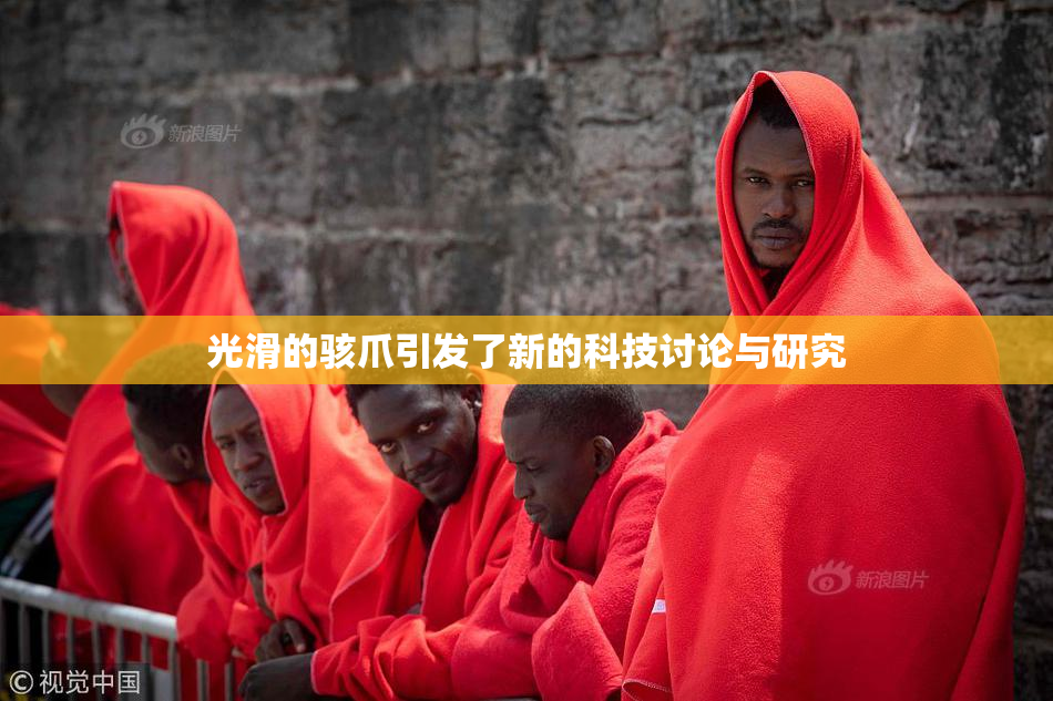 光滑的骇爪引发了新的科技讨论与研究