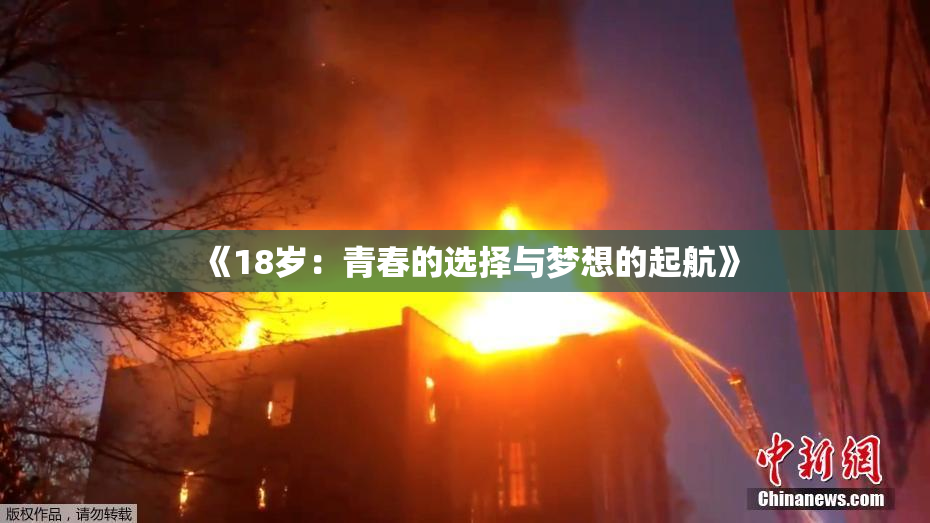 《18岁：青春的选择与梦想的起航》