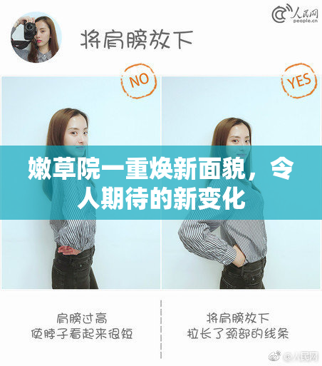 嫩草院一重焕新面貌，令人期待的新变化