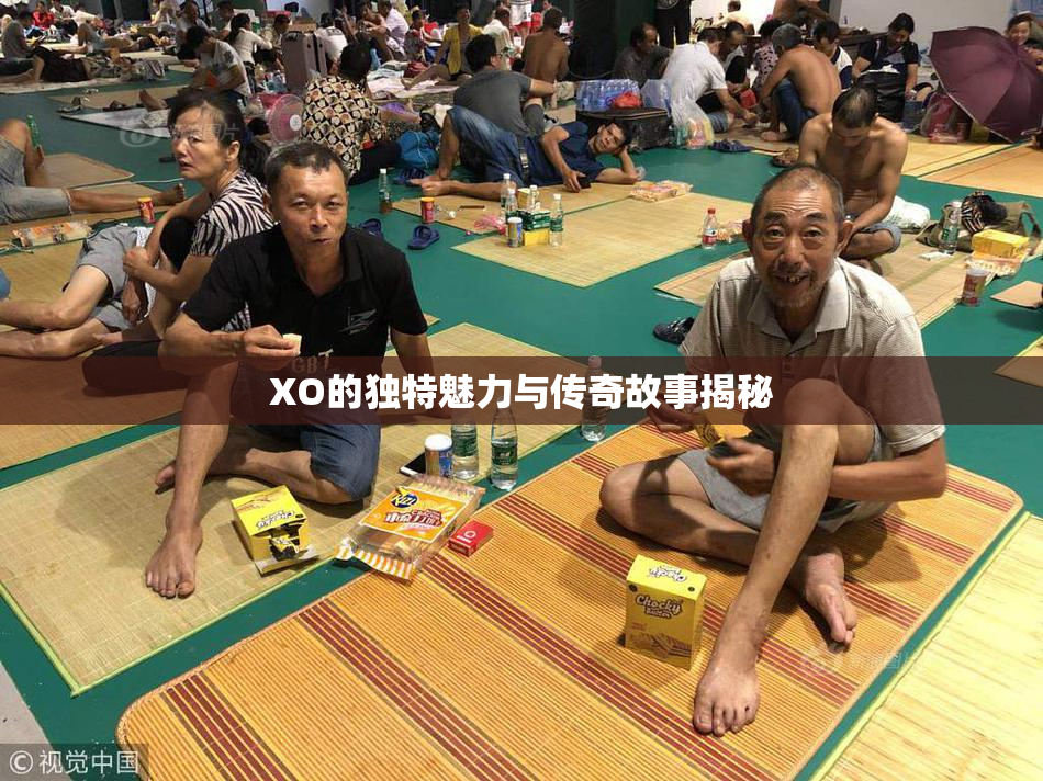 XO的独特魅力与传奇故事揭秘