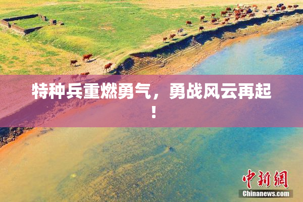 特种兵重燃勇气，勇战风云再起！