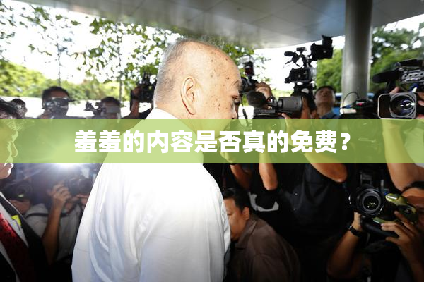 羞羞的内容是否真的免费？