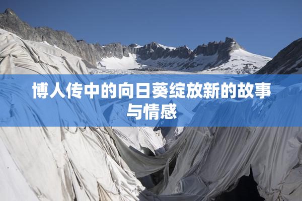 博人传中的向日葵绽放新的故事与情感