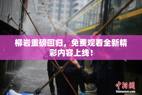 柳岩重磅回归，免费观看全新精彩内容上线！