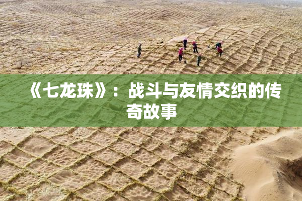 《七龙珠》：战斗与友情交织的传奇故事