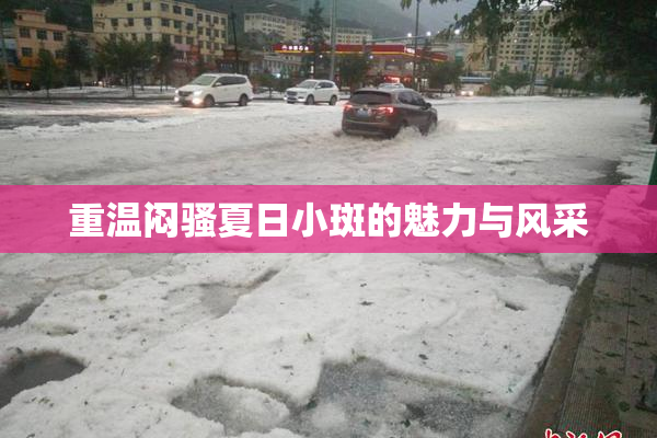 重温闷骚夏日小斑的魅力与风采