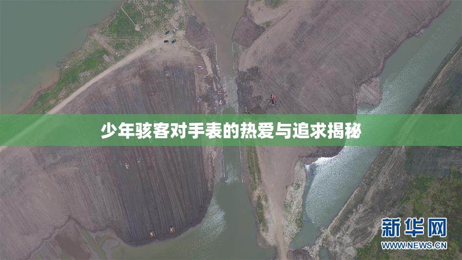 少年骇客对手表的热爱与追求揭秘