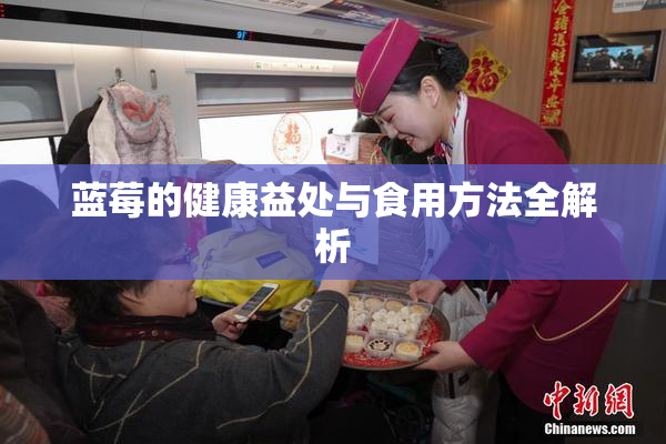 蓝莓的健康益处与食用方法全解析