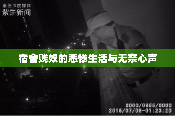 宿舍贱奴的悲惨生活与无奈心声