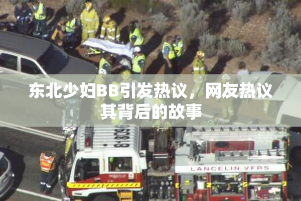 东北少妇BB引发热议，网友热议其背后的故事