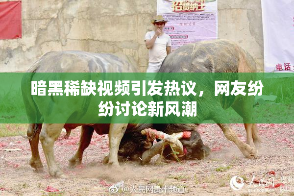 暗黑稀缺视频引发热议，网友纷纷讨论新风潮