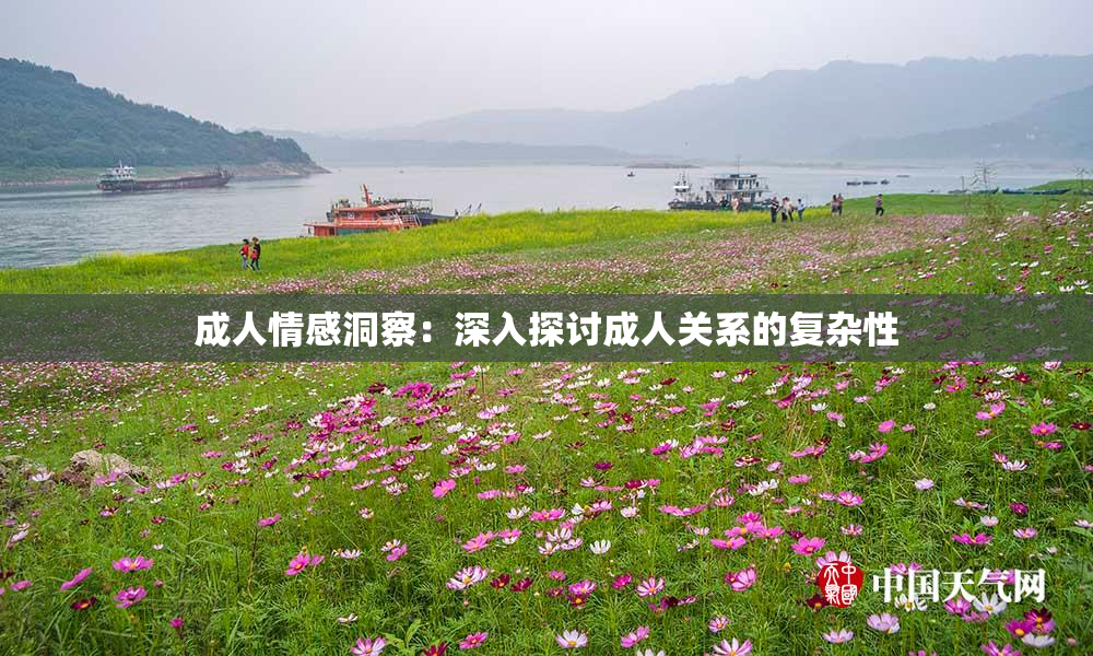 成人情感洞察：深入探讨成人关系的复杂性