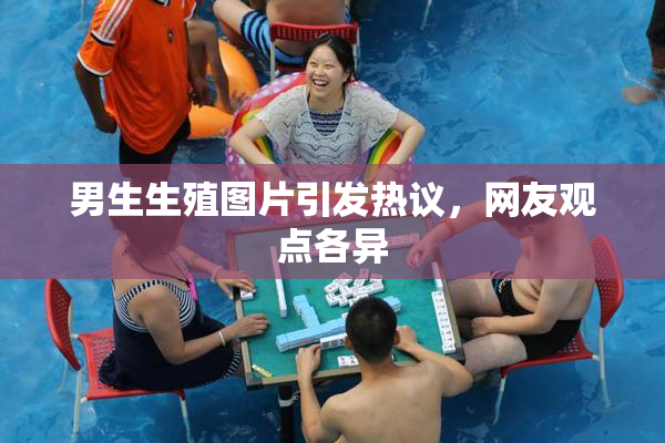 男生生殖图片引发热议，网友观点各异