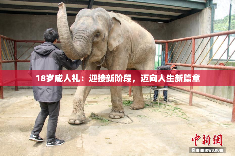 18岁成人礼：迎接新阶段，迈向人生新篇章