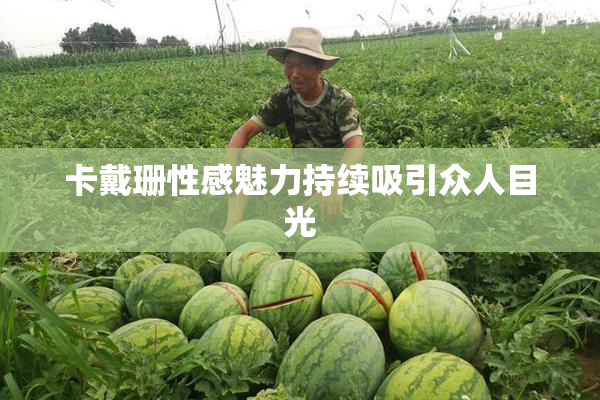 卡戴珊性感魅力持续吸引众人目光