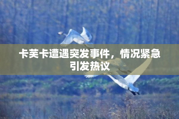 卡芙卡遭遇突发事件，情况紧急引发热议