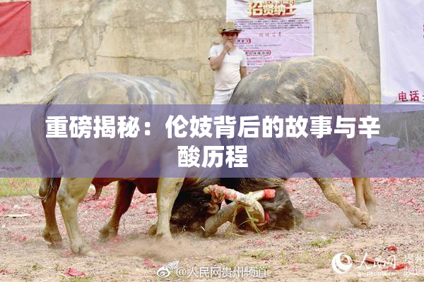 重磅揭秘：伦妓背后的故事与辛酸历程