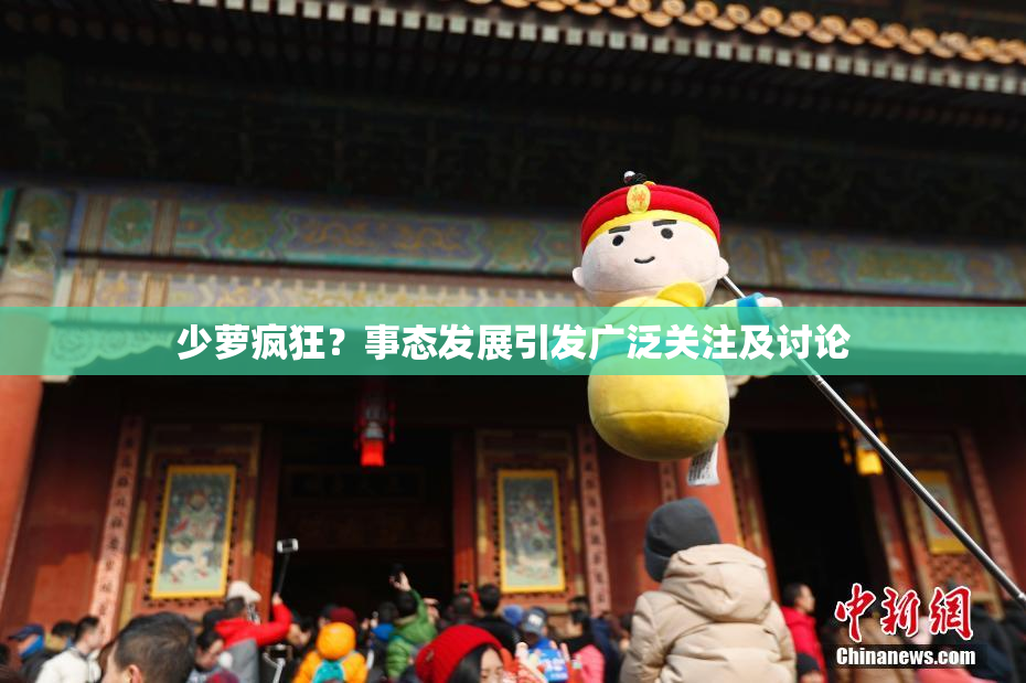 少萝疯狂？事态发展引发广泛关注及讨论