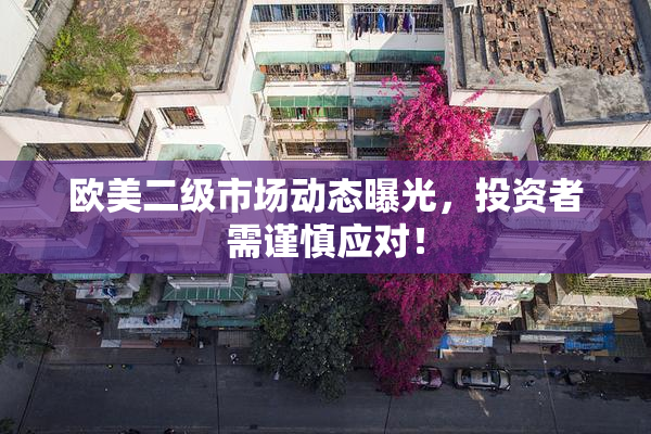 欧美二级市场动态曝光，投资者需谨慎应对！