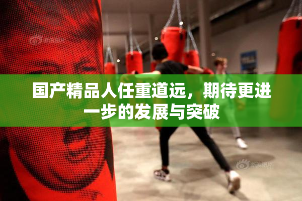 国产精品人任重道远，期待更进一步的发展与突破