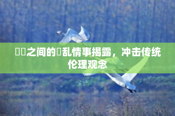 妺妺之间的婬乱情事揭露，冲击传统伦理观念