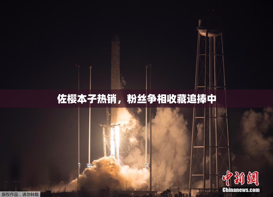 佐樱本子热销，粉丝争相收藏追捧中