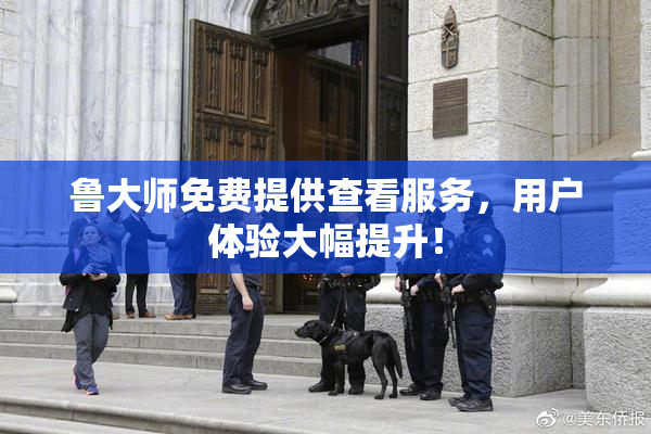 鲁大师免费提供查看服务，用户体验大幅提升！