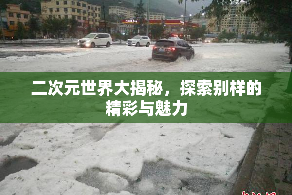 二次元世界大揭秘，探索别样的精彩与魅力