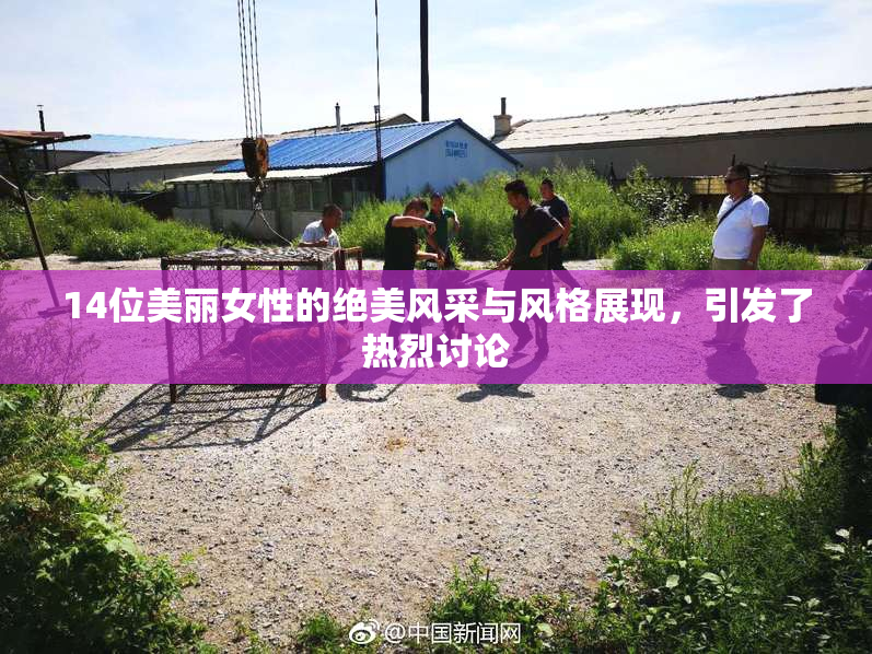 14位美丽女性的绝美风采与风格展现，引发了热烈讨论