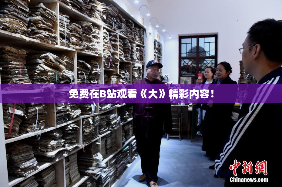 免费在B站观看《大》精彩内容！