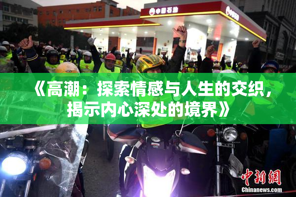 《高潮：探索情感与人生的交织，揭示内心深处的境界》