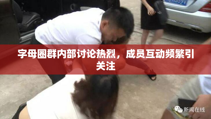 字母圈群内部讨论热烈，成员互动频繁引关注