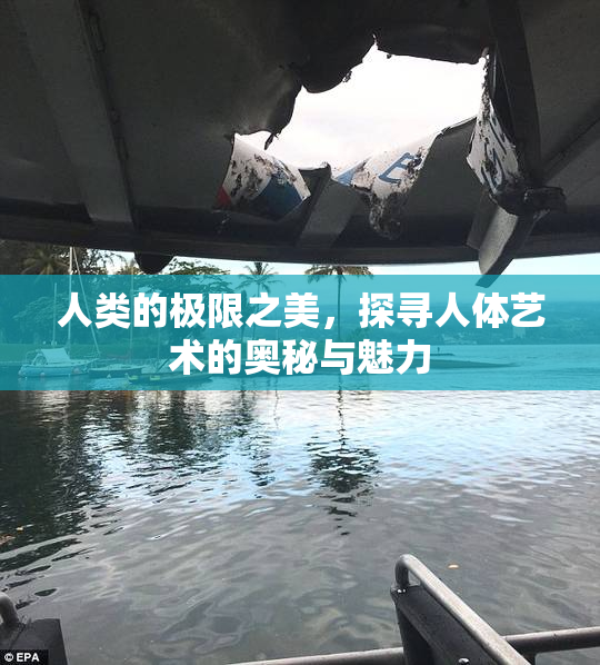 人类的极限之美，探寻人体艺术的奥秘与魅力