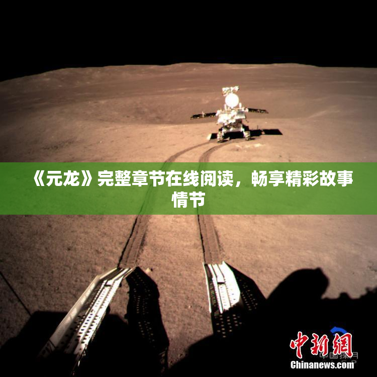 《元龙》完整章节在线阅读，畅享精彩故事情节