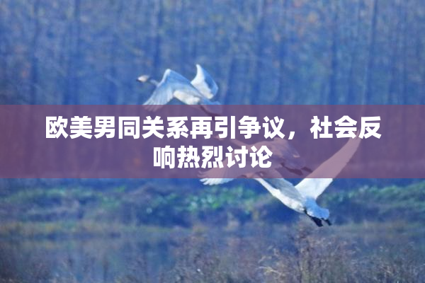 欧美男同关系再引争议，社会反响热烈讨论